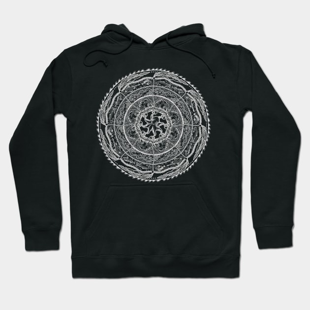 Salish Sea Mandala -dark background Hoodie by mernstw